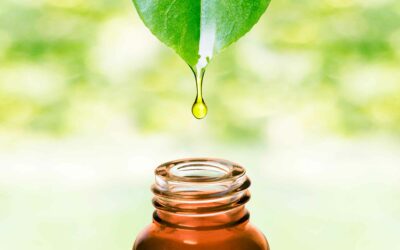 How to Use Essential Oils