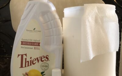 Young Living Thieves Cleaner