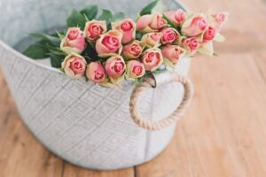 Rose essential oil uses and benefits 