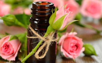 The Power of Pure Rose Essential Oil