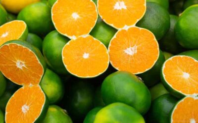 Mandarin Green Essential Oil