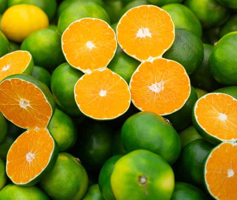 Mandarin green Essential Oil