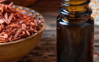 The Best Sandalwood Essential Oil