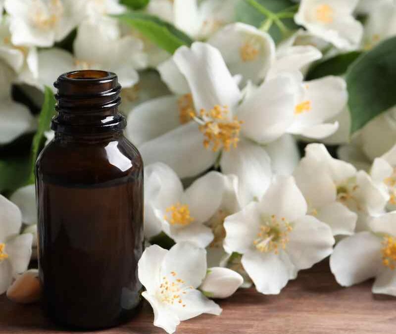 Most Expensive Essential Oils