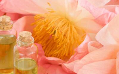 Floris Rose Geranium Perfume Recipe