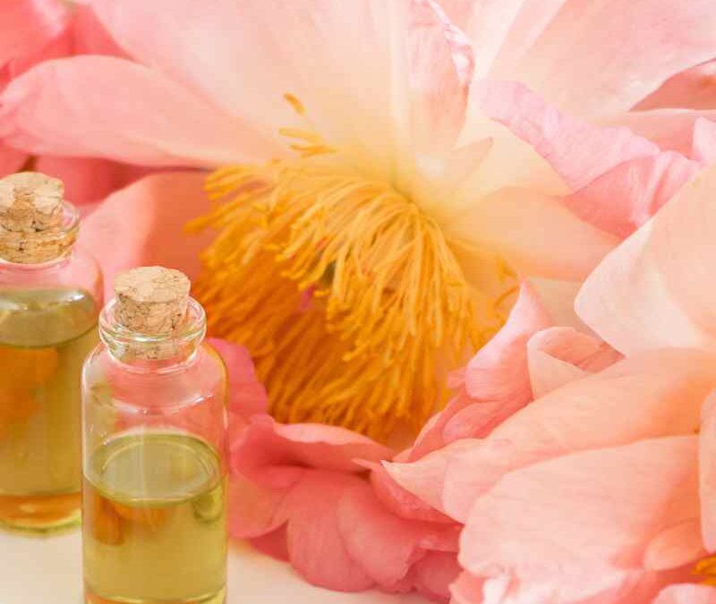 Floris Rose Geranium Perfume Recipe