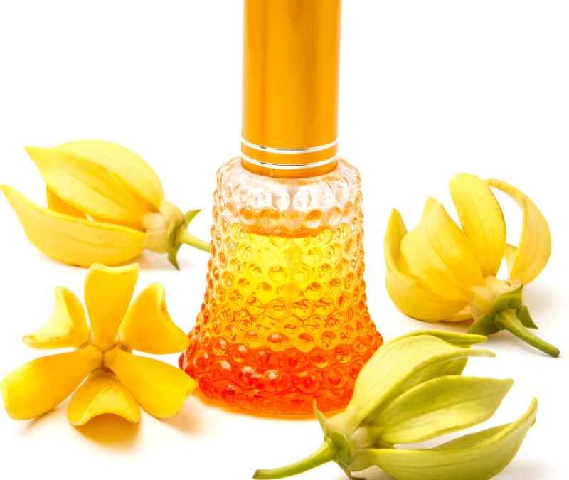 Ylang Ylang essential oil spiritual benefits