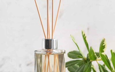 Reed Diffuser Oil