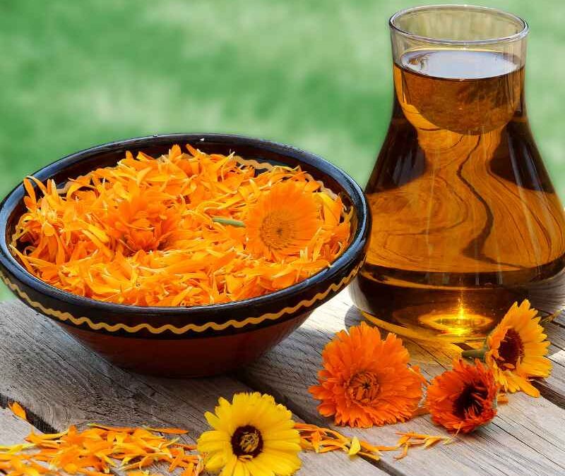 Calendula Hydrosol