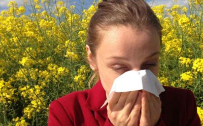 Essential Oil Blends For Allergies