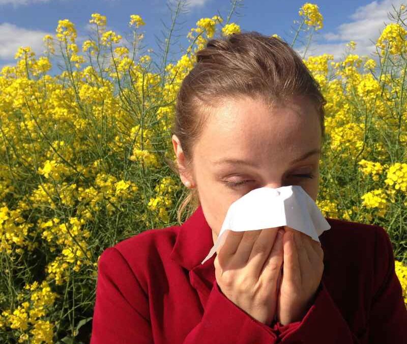 essential oil blends for allergies