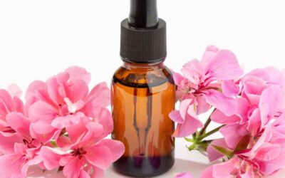 Rose Geranium Essential Oil