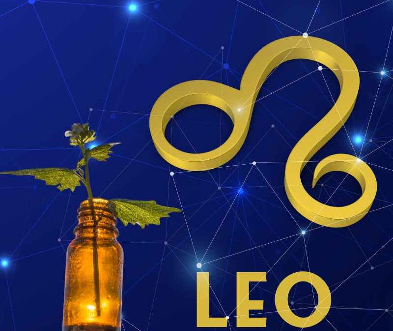 Essential Oils For Leo