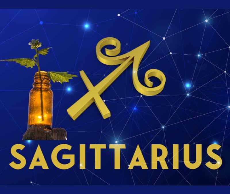 Essential oils for Sagittarius