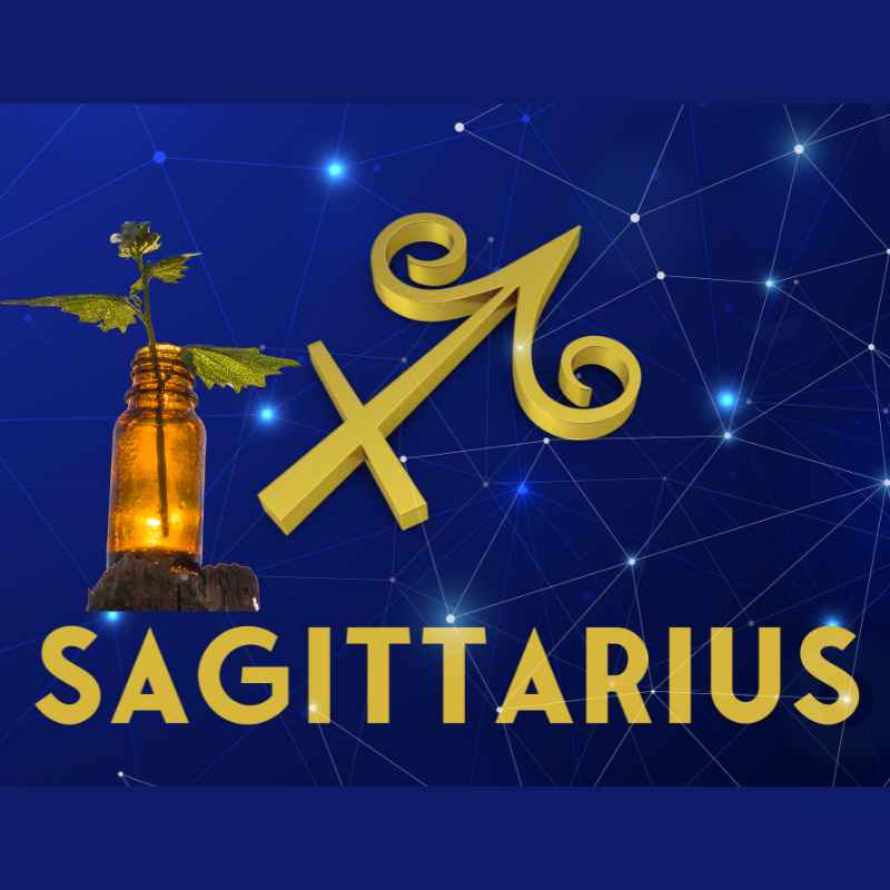 Essential Oils For Sagittarius - Green Roots Botanicals Cleaning Service