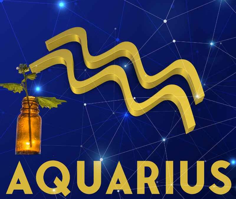 Essential Oils For Aquarius