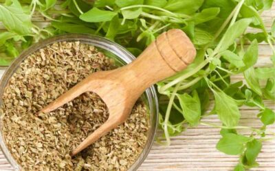 Oil Of Oregano VS Oregano Essential Oil