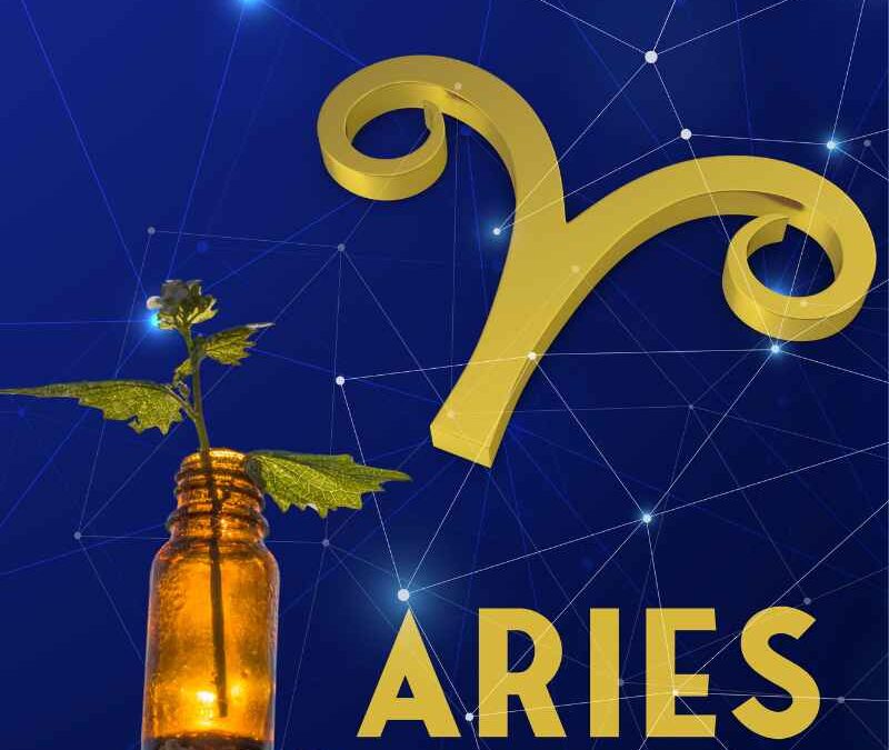 Essential Oils For Aries