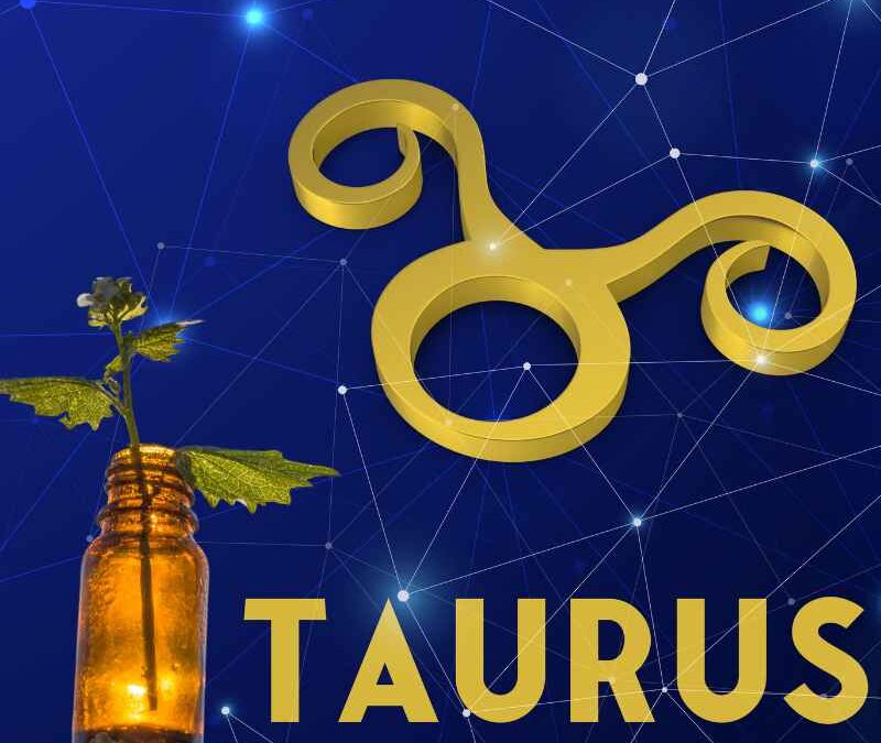 Essential Oils For Taurus