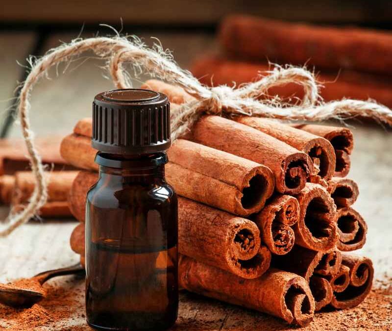 cinnamon bark essential oil