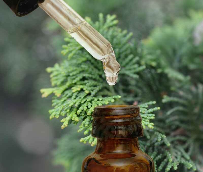 Hinoki essential oil
