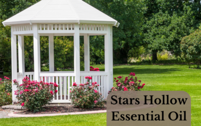 Gilmore Girls Inspired Essential Oil Blends